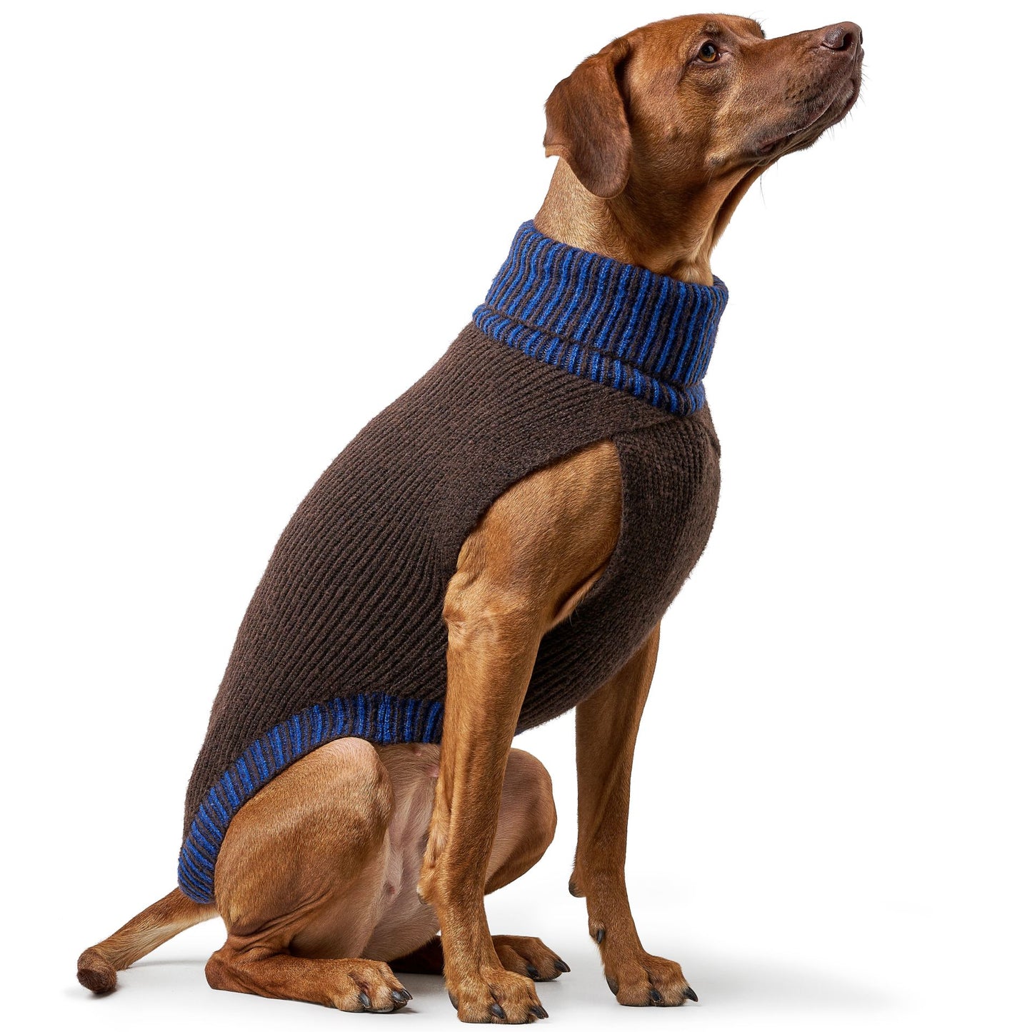 HUNTER - Hundepullover + Haube SET, braun blau