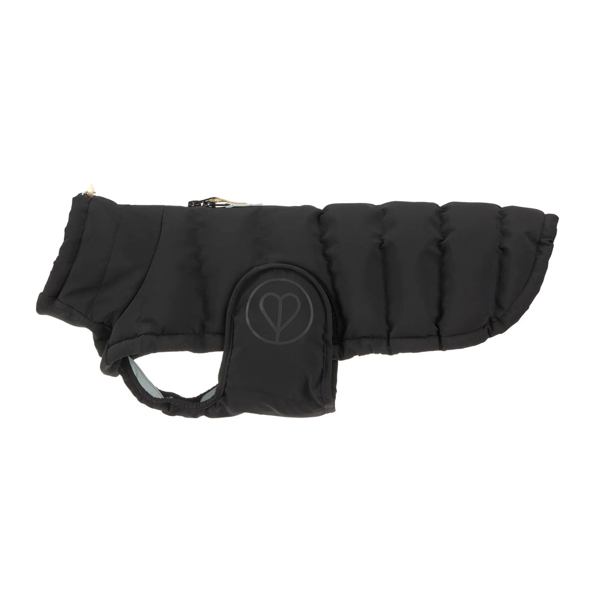 PALOPA - Winterjacke Nolia, schwarz