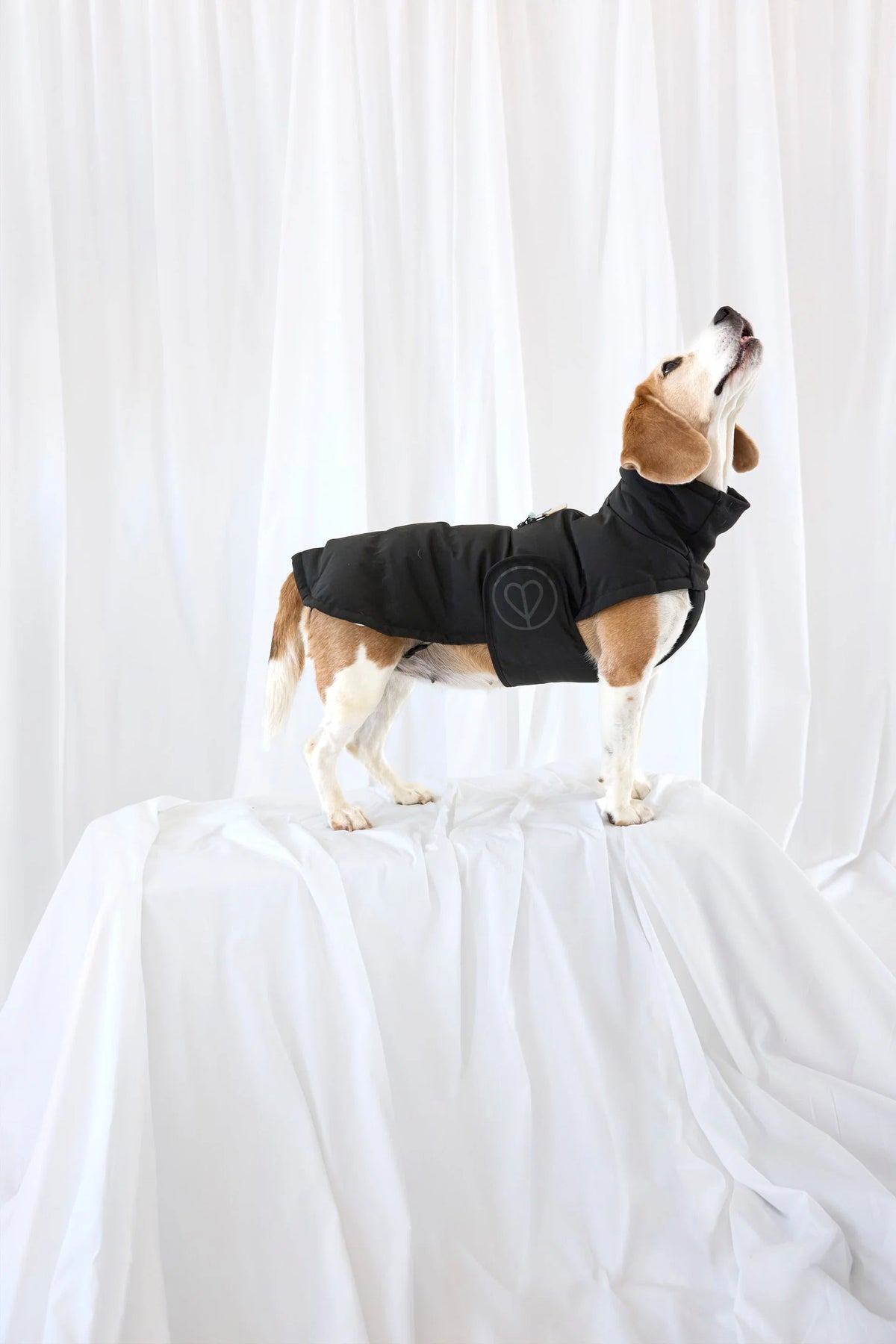 PALOPA - Winterjacke Nolia, schwarz