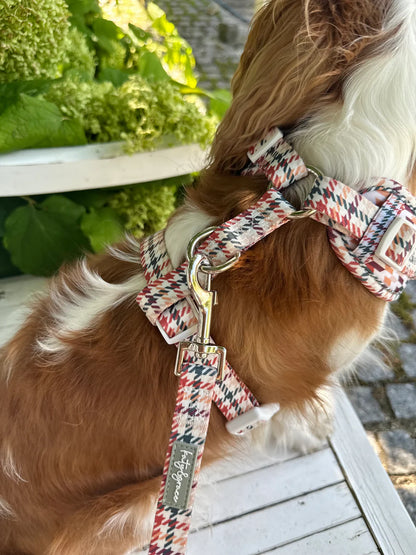 Katy&Grace - Geschirr Classic Hound