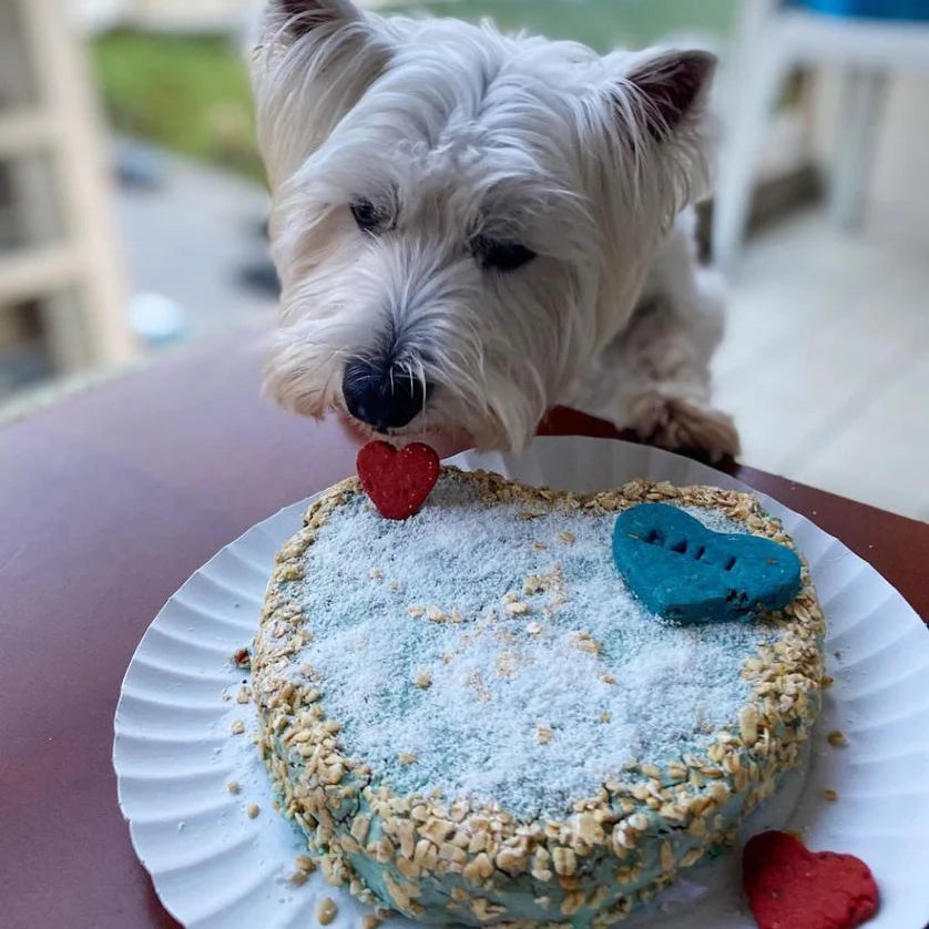 COOKAS COOKIES - Backmischung für Hundekuchen, Huhn