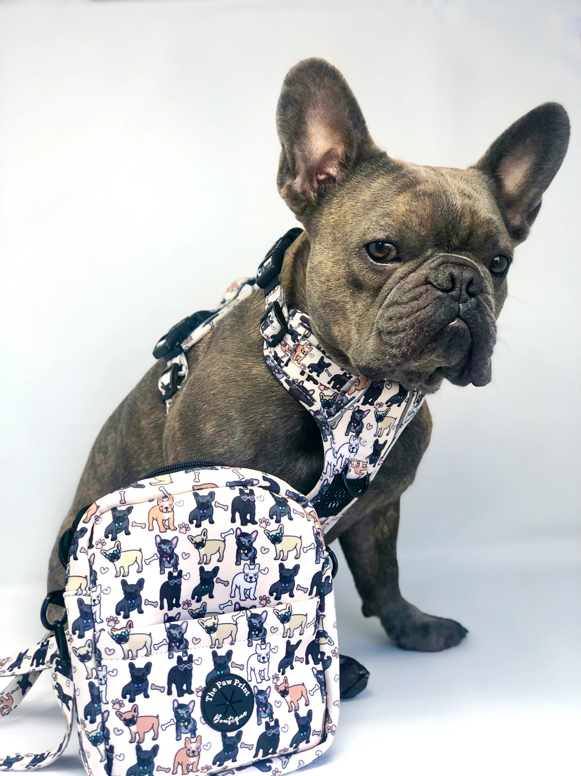 THE PAW PRINT BOUTIQUE - Gassitasche Frenchie