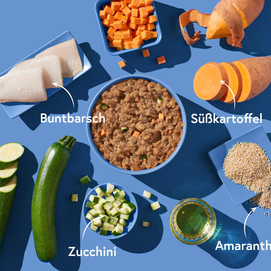 FRED Nassfutter - Buntbarsch mit Amaranth