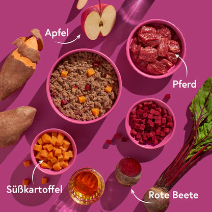 FRED Nassfutter - Pferd mit Süßkartoffeln