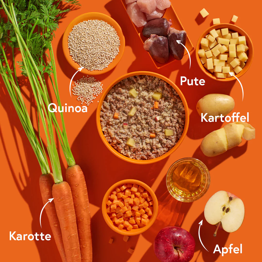 FRED Nassfutter - Pute mit Kartoffeln