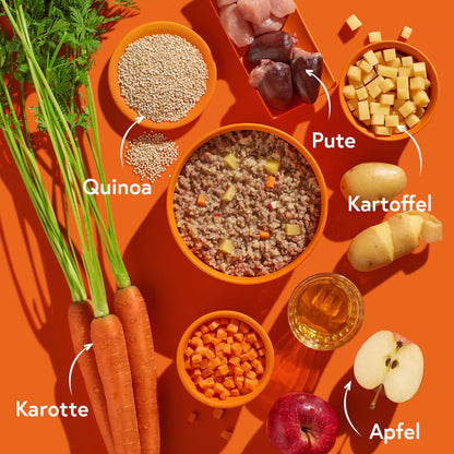 FRED Nassfutter - Pute mit Kartoffeln