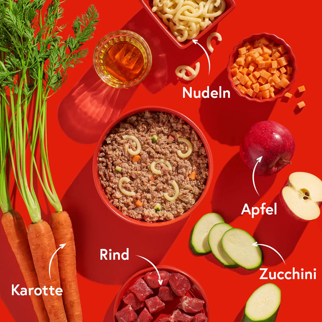 FRED Nassfutter - Rind mit Nudeln