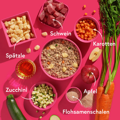 FRED Nassfutter - Schwein mit Spätzle