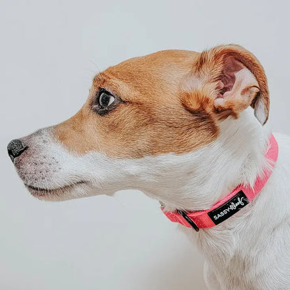 SASSY WOOF Halsband - Neonpink