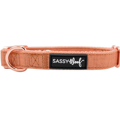 SASSY WOOF Halsband - Apple Cider