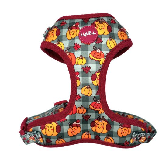 WUFFELLIEBE Geschirr- Cosy Pumpkin Patch