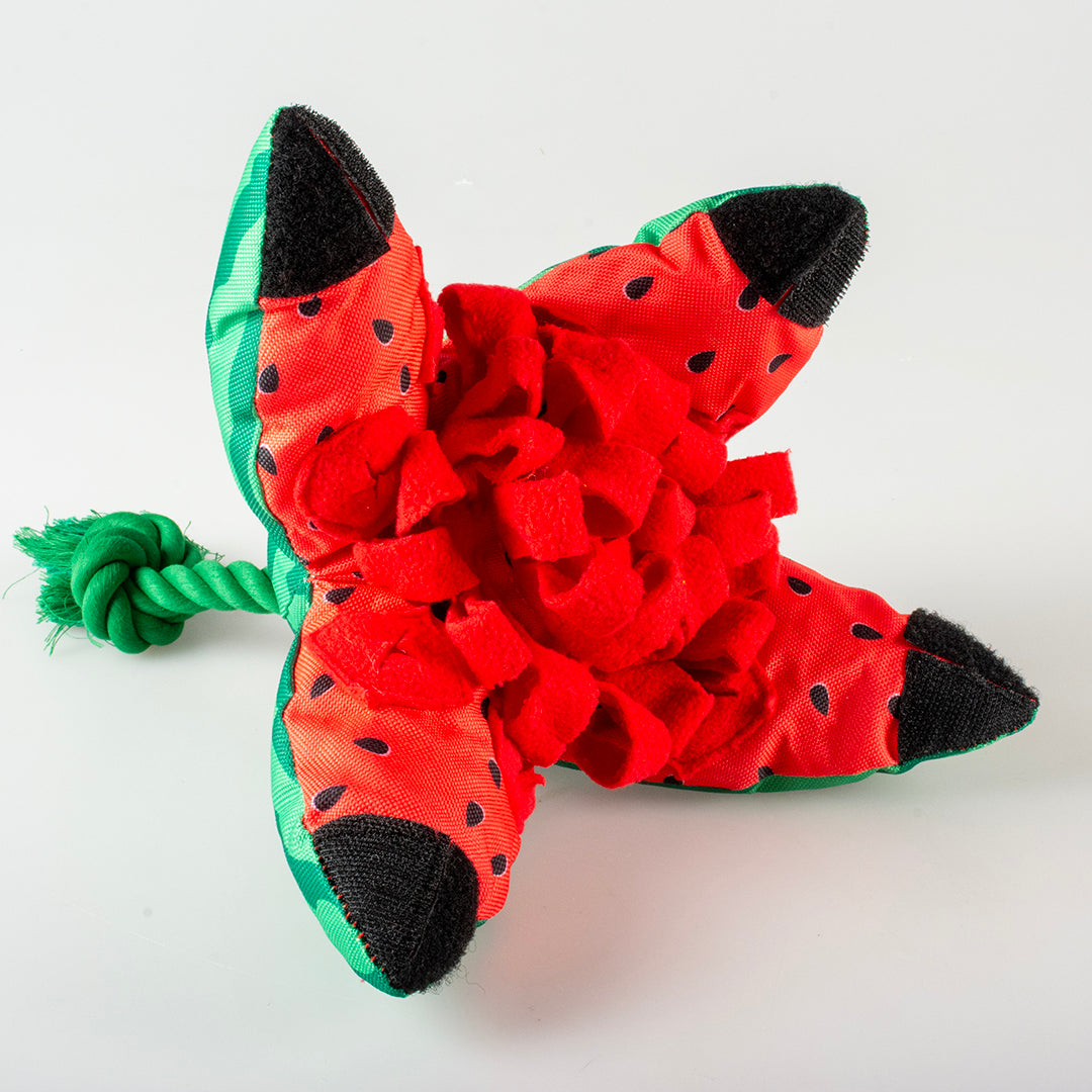 Schnüffelteppich - Wassermelone