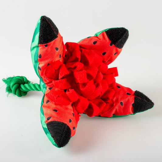 Schnüffelteppich - Wassermelone