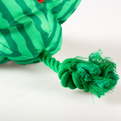 Schnüffelteppich - Wassermelone