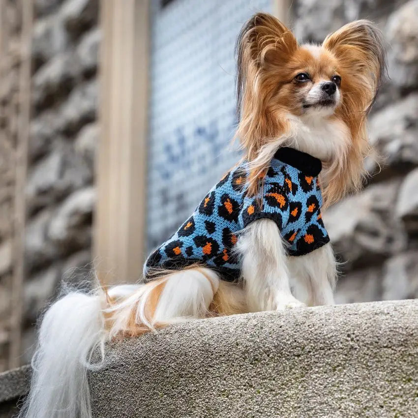 CROCI - Hundepullover, Cheetah blau