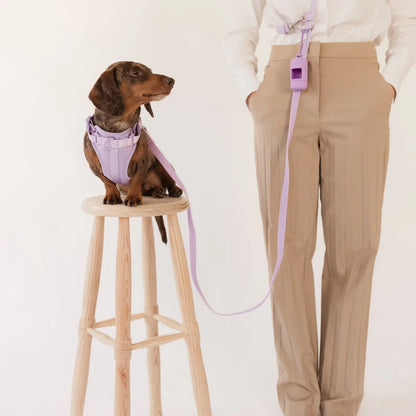 PRILTON - Leine, Handsfree, lila