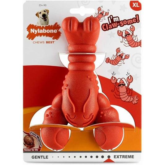 NYLABONE - Power Chew, Lobster XL