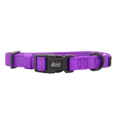 SASSY WOOF Halsband - Neonviolett