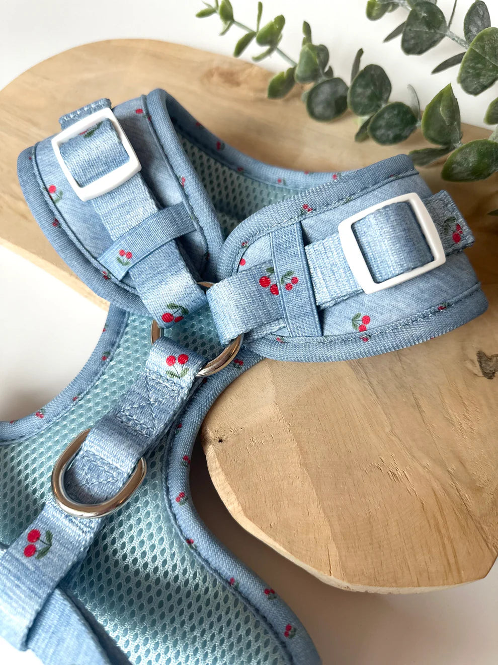 Katy&Grace - Geschirr Cherry Jeans