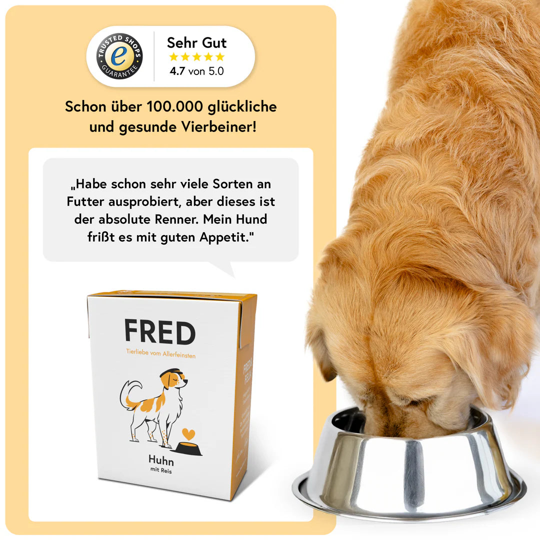 FRED Nassfutter - Huhn mit Reis