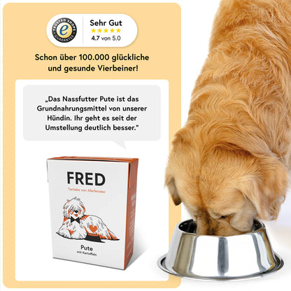 FRED Nassfutter - Pute mit Kartoffeln