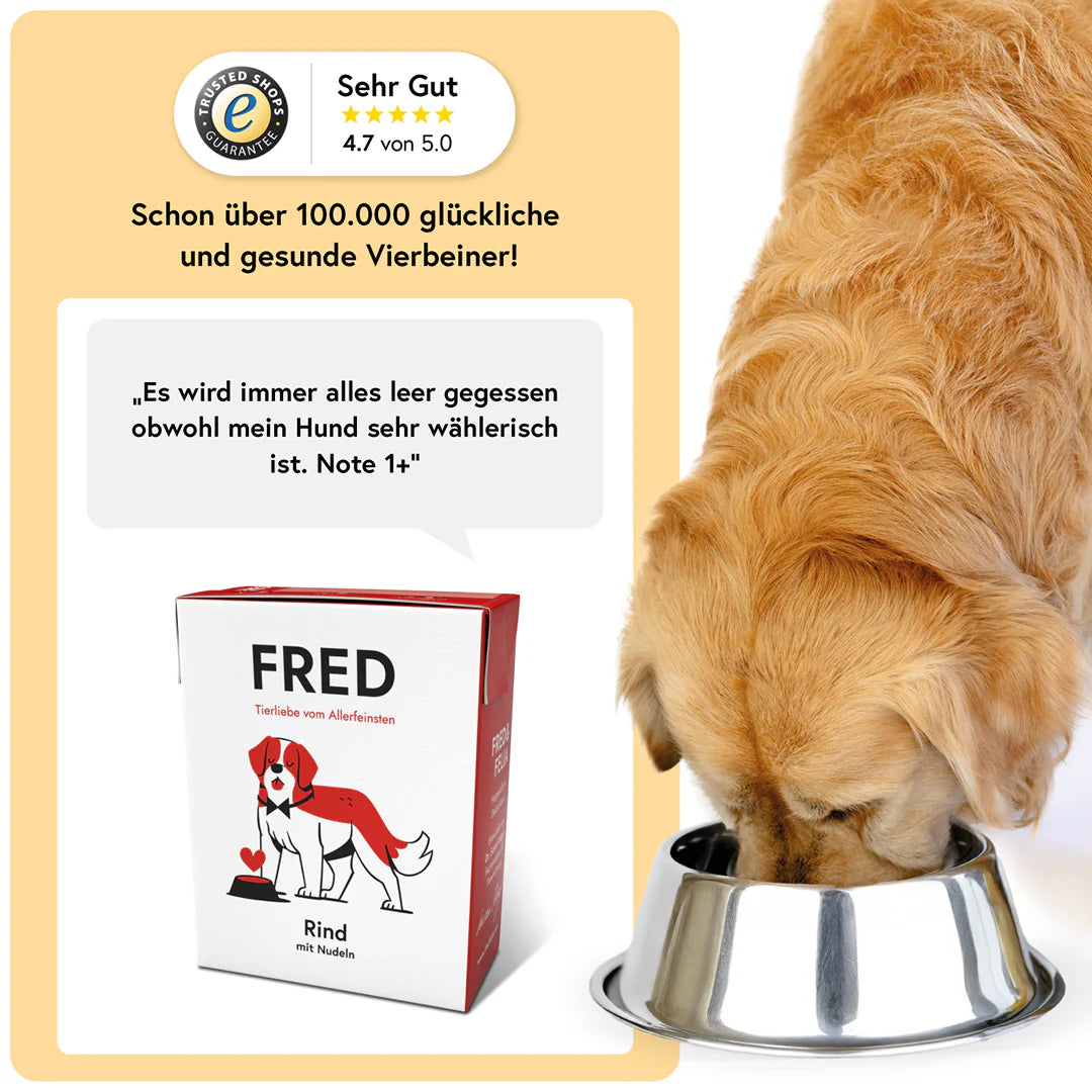 FRED Nassfutter - Rind mit Nudeln