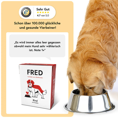 FRED Nassfutter - Rind mit Nudeln