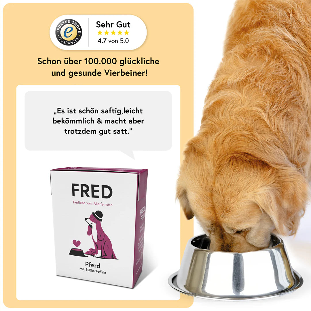 FRED Nassfutter - Pferd mit Süßkartoffeln