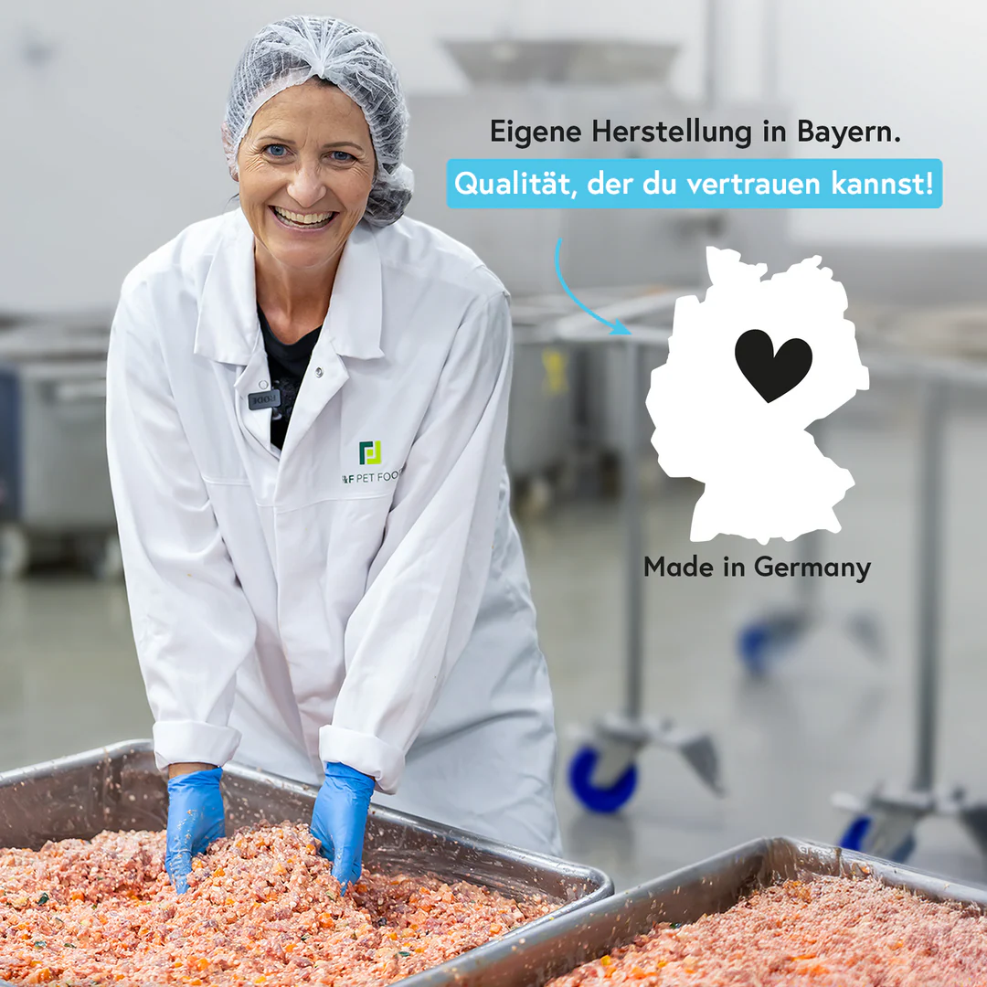 FRED Nassfutter - Rind mit Nudeln