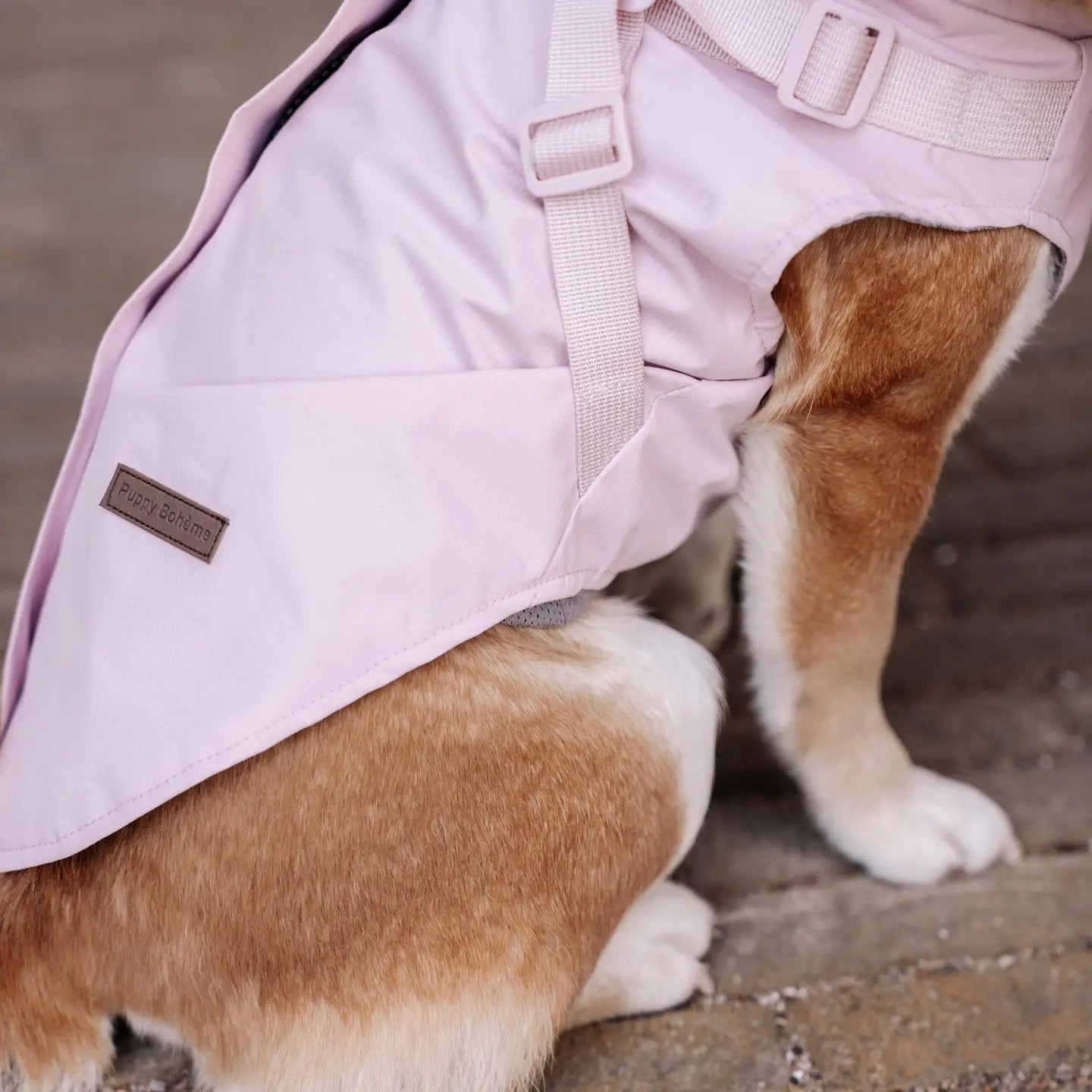 PUPPY BOHÈME - Regenmantel mit Geschirr pastellrosa