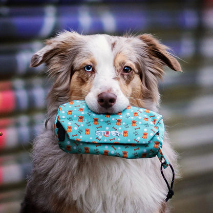 STUCH - Futterdummy beschichtet, Türkis Hund