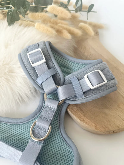 Katy&Grace - Geschirr Teddy, frosty blue