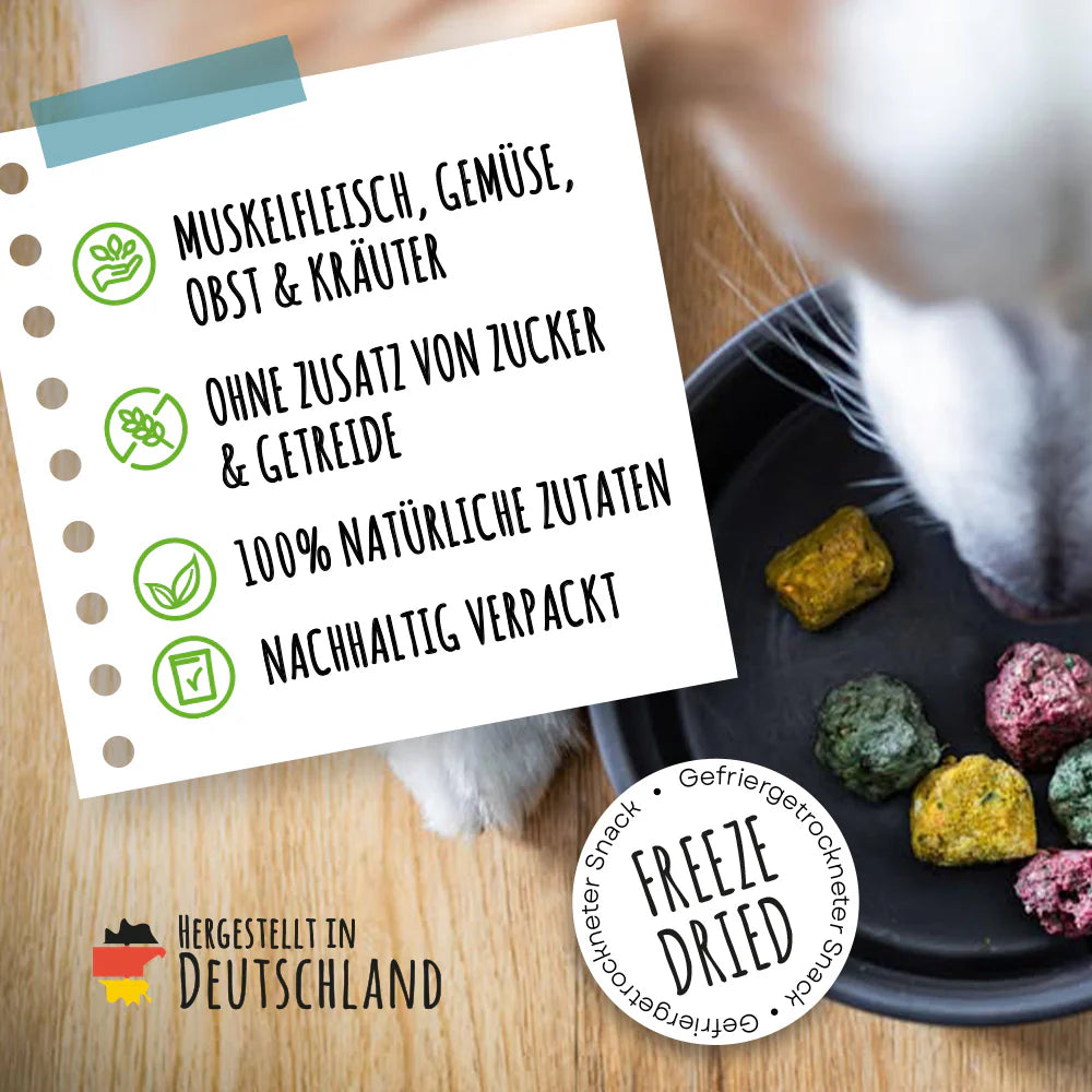 SMOOTHIE DOG - Bites, Rind