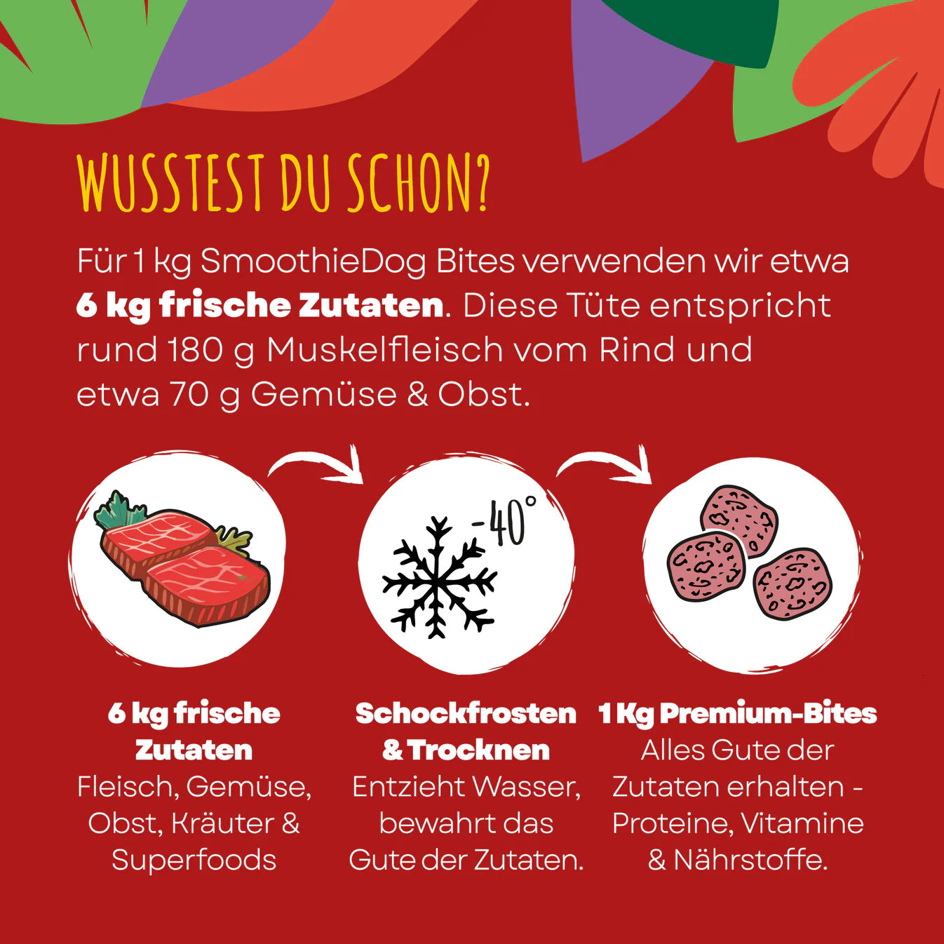 SMOOTHIE DOG - Bites, Rind