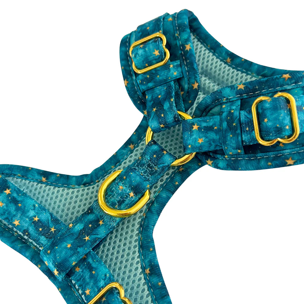 FELLEVER & PAWAYS Geschirr - Starlight Memories