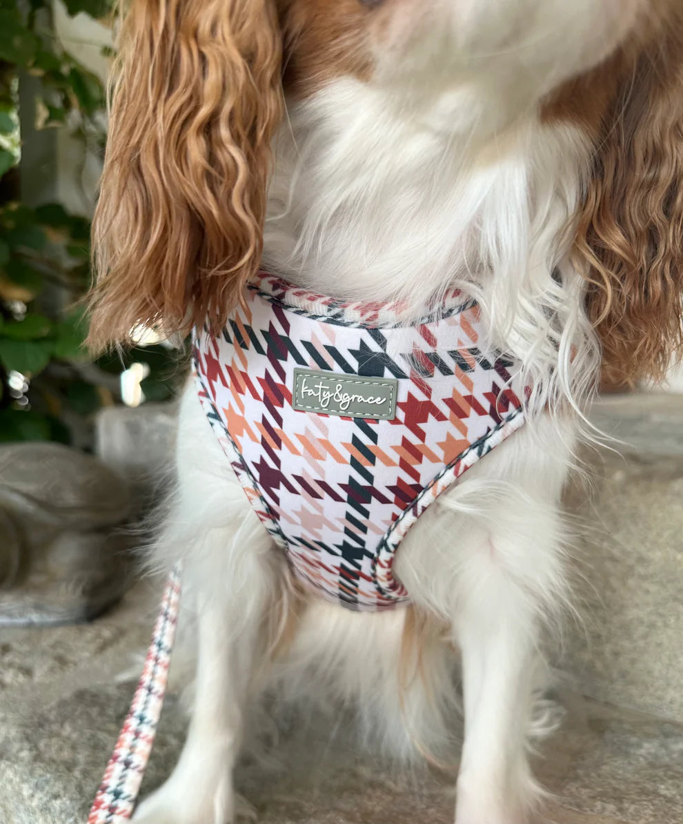 Katy&Grace - Geschirr Classic Hound