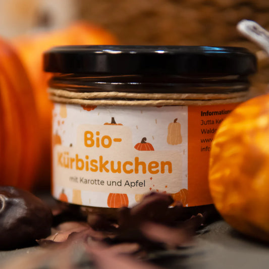 Bio-Kürbiskuchen im Glas