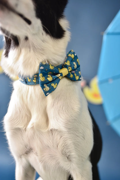 WUFFELLIEBE Halsband - You quack me up