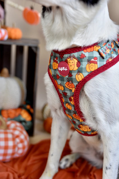 WUFFELLIEBE Geschirr- Cosy Pumpkin Patch