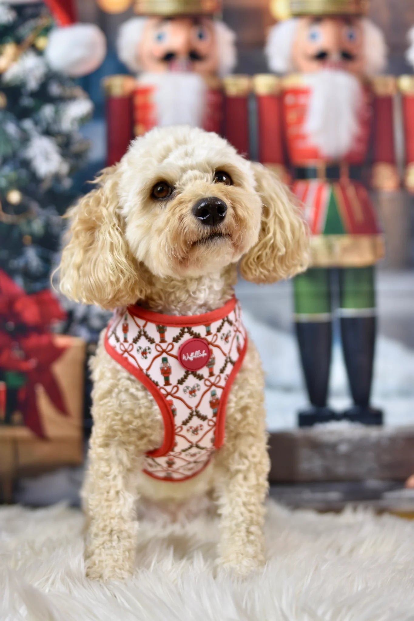 WUFFELLIEBE Geschirr- Nutcracker Elegance