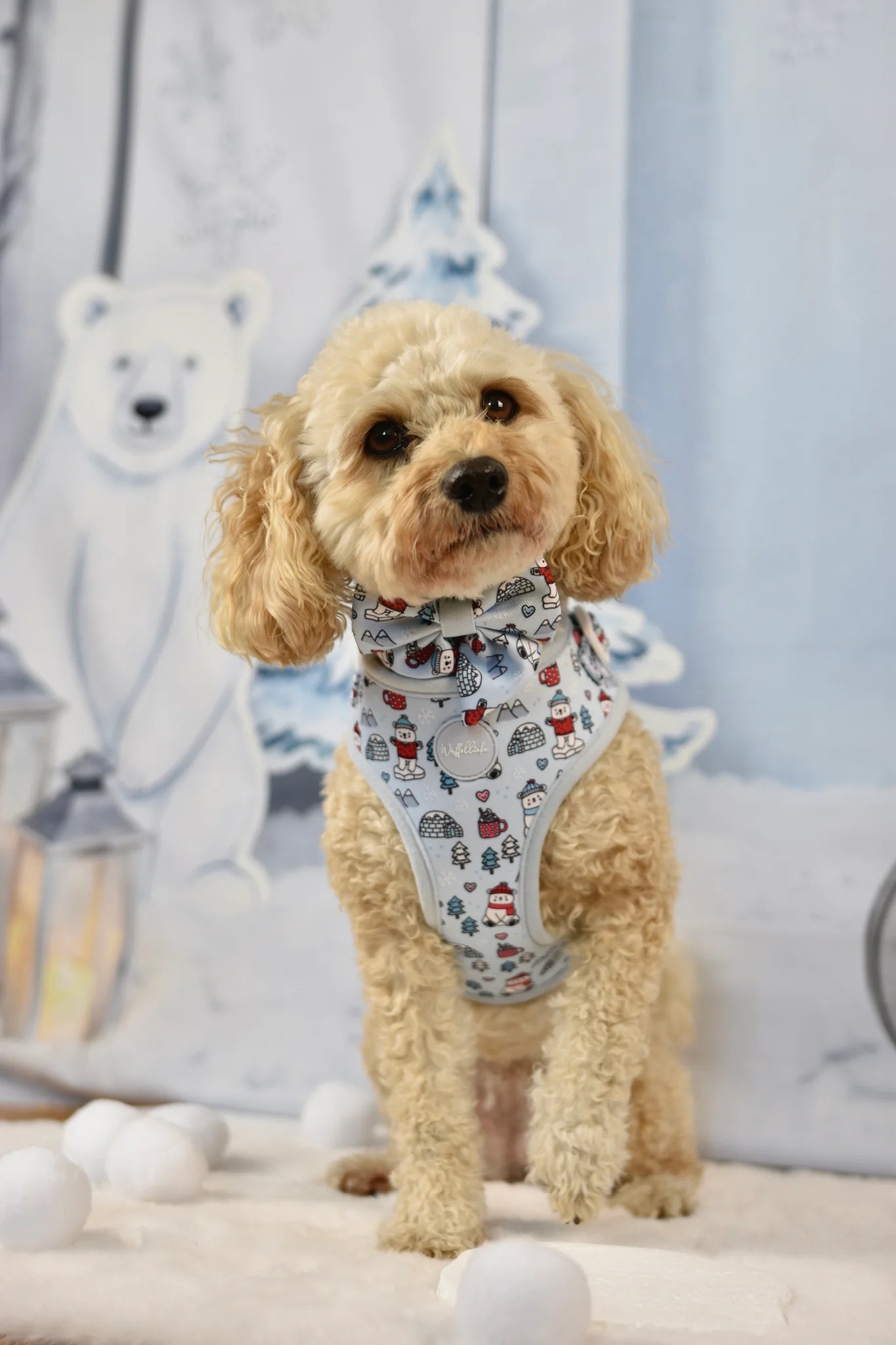 WUFFELLIEBE Geschirr- Pawlar Bear Adventures