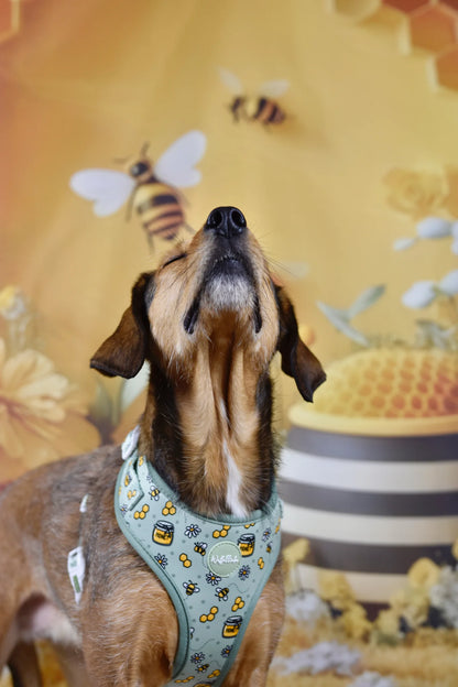 WUFFELLIEBE Geschirr- Honey Bloom