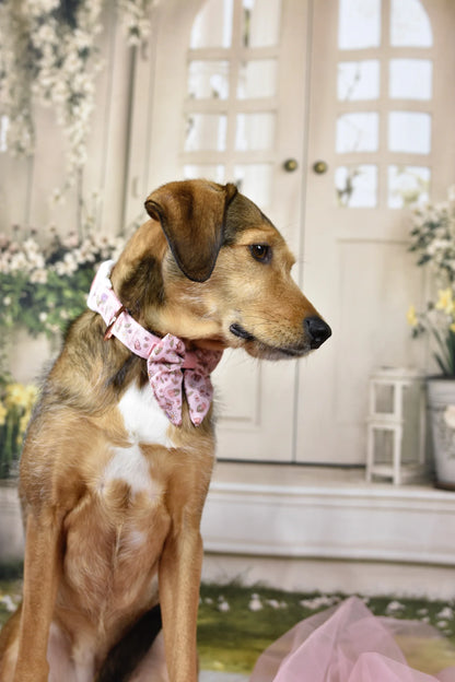 WUFFELLIEBE Halsband - Enchanted Flutter