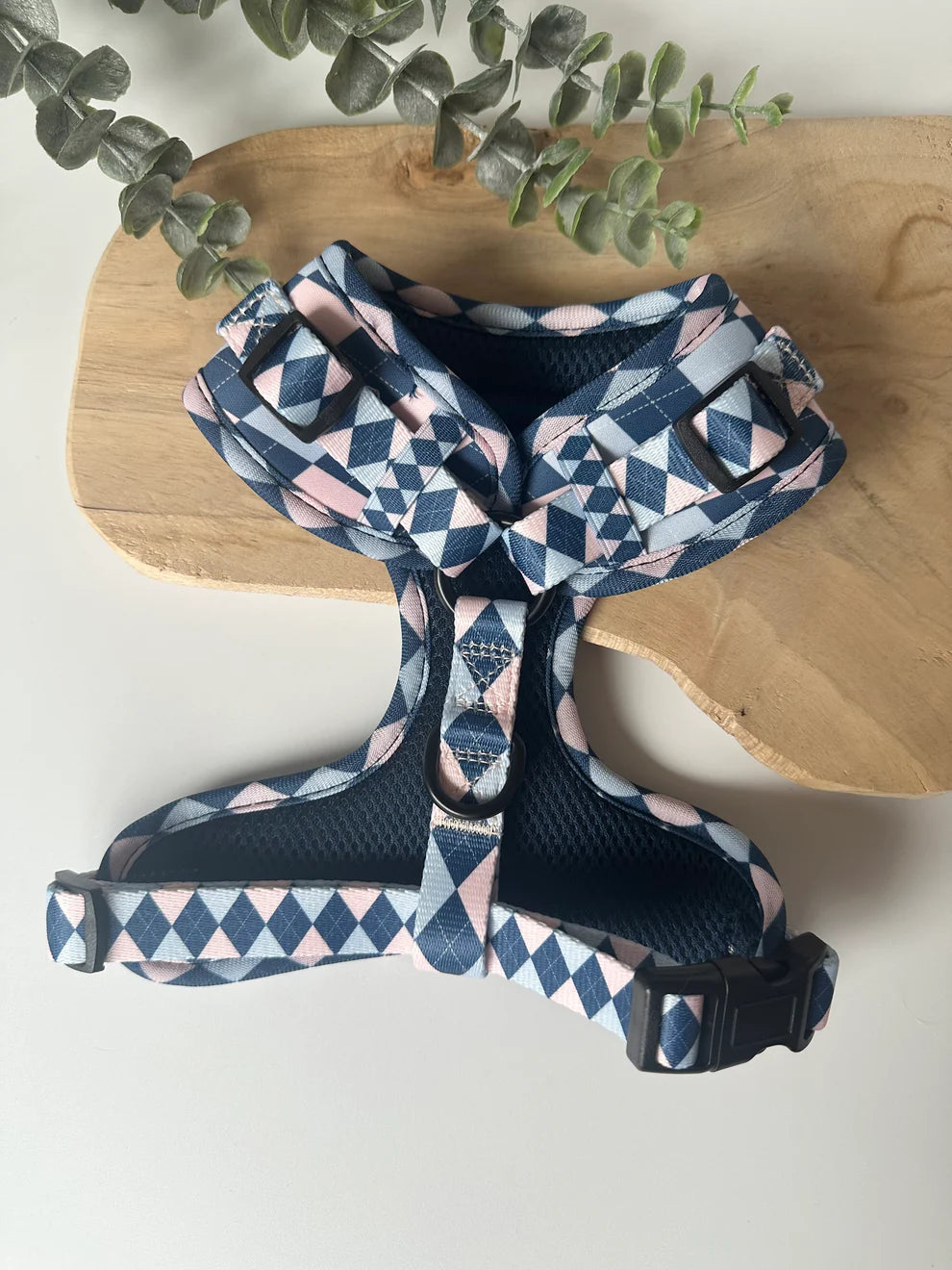 Katy&Grace - Geschirr College