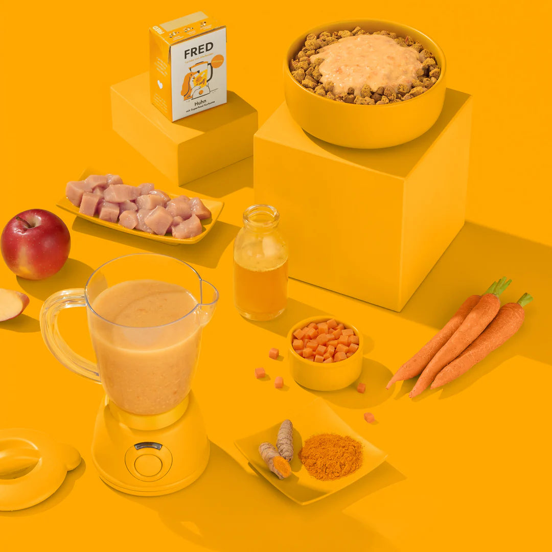 FRED Smoothie - Huhn mit Kurkuma