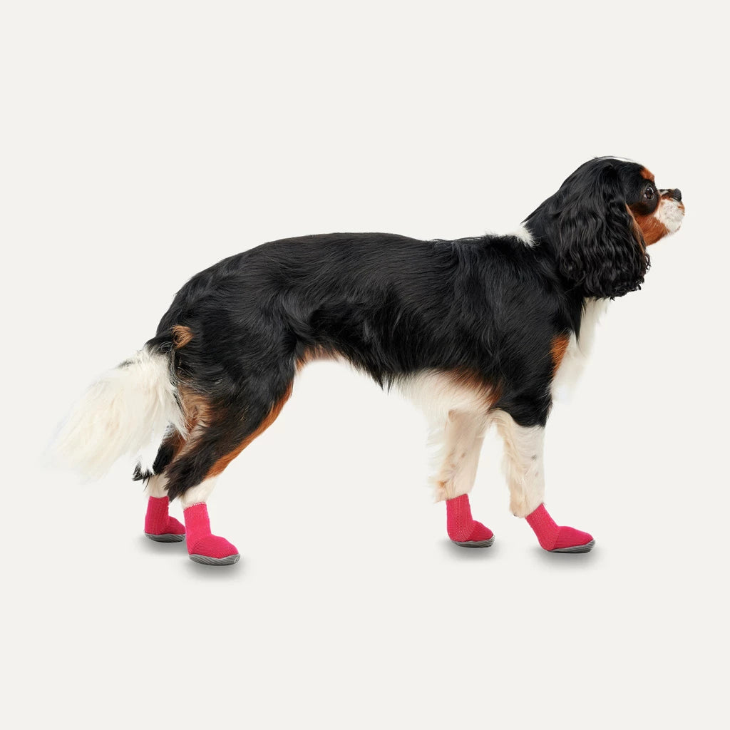 GOO-EEZ - Hundeschuhe rot