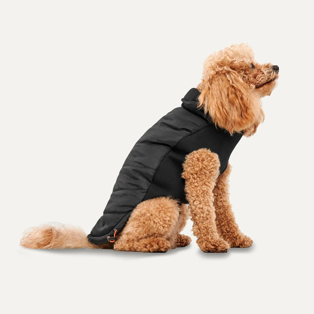 GOO-EEZ - Mock Neck Hundejacke, schwarz