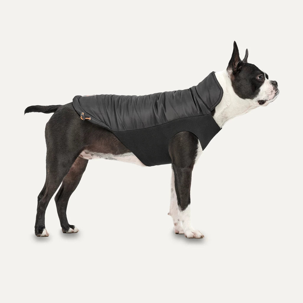 GOO-EEZ - Mock Neck Hundejacke, schwarz