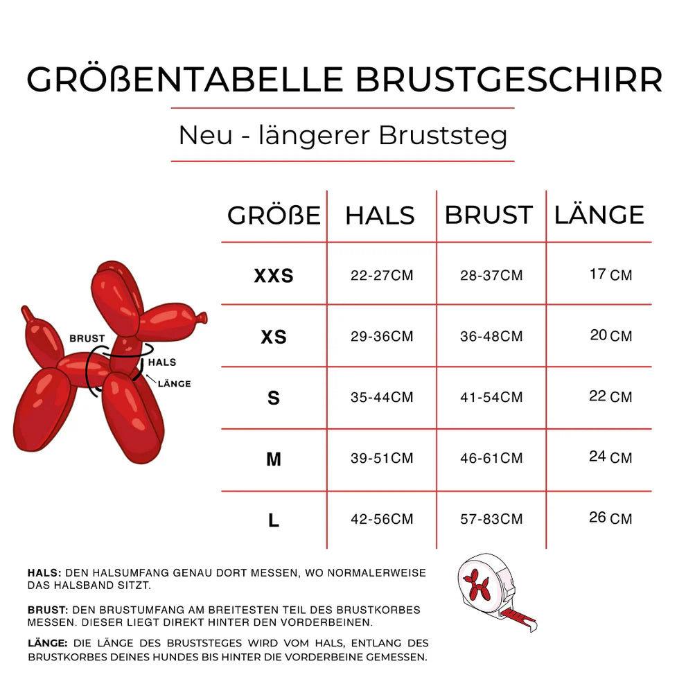 FELLEVER & PAWAYS Geschirr - Starlight Memories