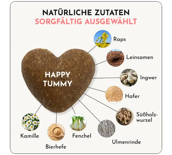 DOGGYLOVE - Happy Tummy